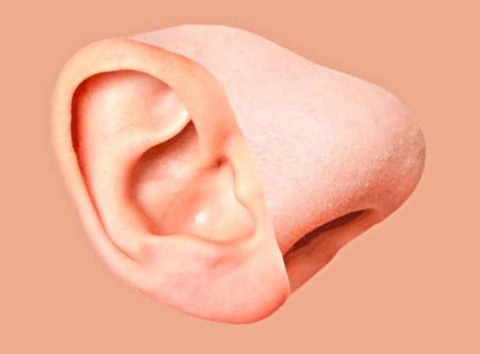 Как нос связан с ушами фото