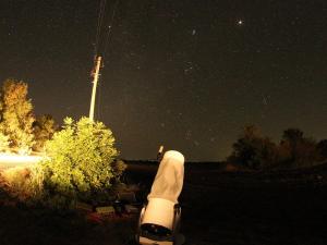 Жители Ростовской области увидят метеорный поток Леониды в ночь на 18 ноября