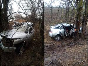 В Ростовской области водитель и 17-летняя пассажирка авто погибли, врезавшись в дерево