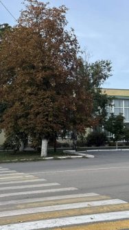 Доброе утро, Морозовский район!