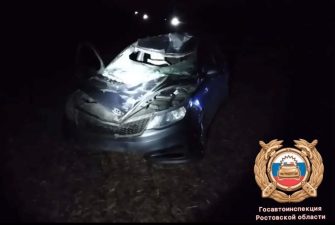 Наезд на животного произошел в Ростовской